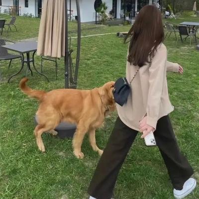 绝对舞力